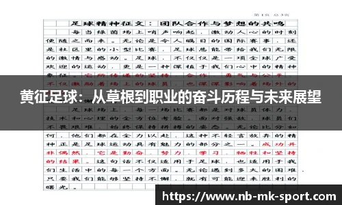 黄征足球：从草根到职业的奋斗历程与未来展望
